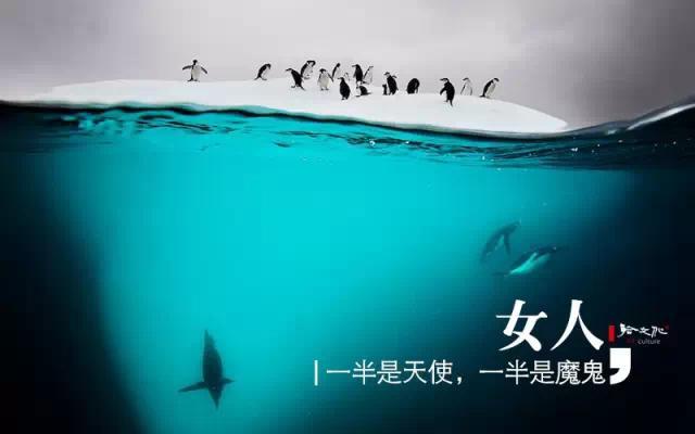 早安美图160706：一半一半，2016已过完一半了