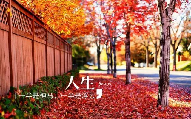 早安美图160706：一半一半，2016已过完一半了