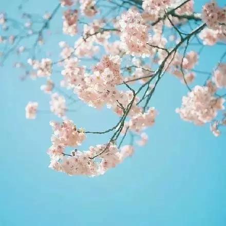 晚安美图160708：照顾好自己，就是最好的度过晚年的方式