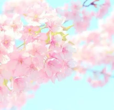 晚安美图160708：照顾好自己，就是最好的度过晚年的方式