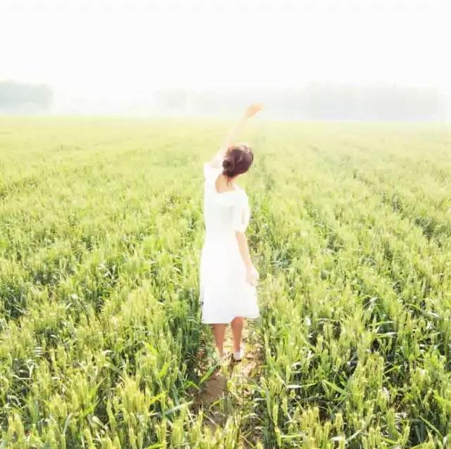 早安美图160707：很多的感情，都败在了现实的面前