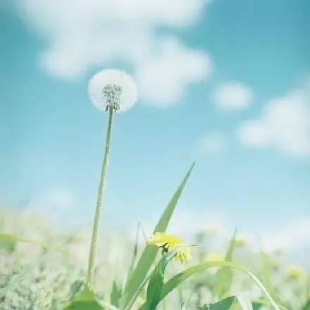晚安美图160708：照顾好自己，就是最好的度过晚年的方式