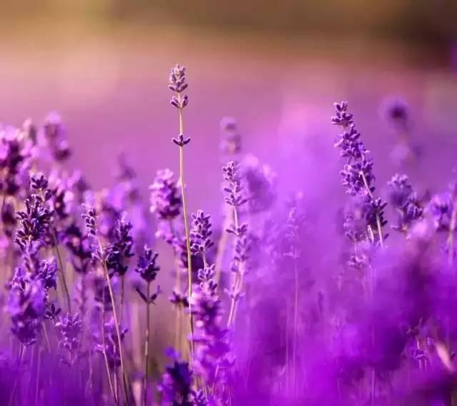 早安美图160703：难受的时候看看，写的真好