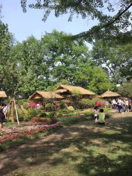晚安心语160705：玫瑰有刺，才会是玫瑰