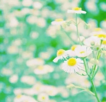 晚安美图160719：人字好写心难懂