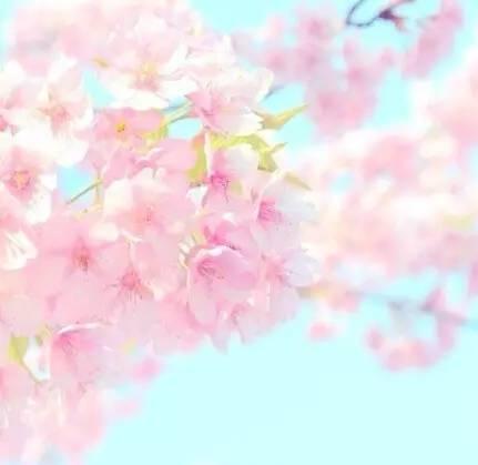 晚安美图160719：人字好写心难懂