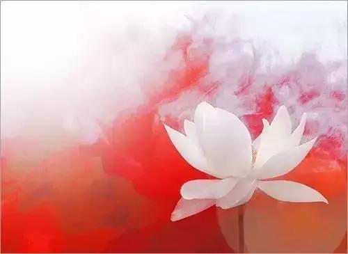 晚安美图160728：我只是个平凡人，我也有我的小情绪