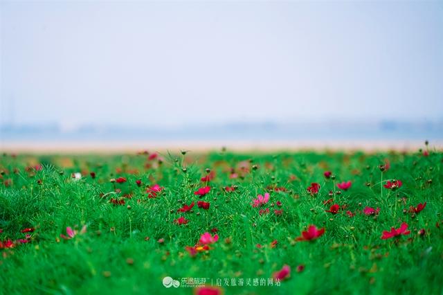 连理岛人工岛介绍，神秘了十年的连理岛