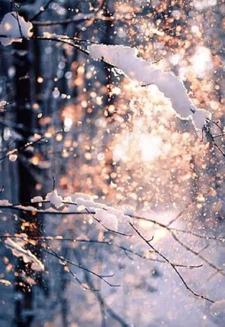 早安美图：你的城市，下雪了吗？