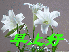 发给朋友早上好的问候短信