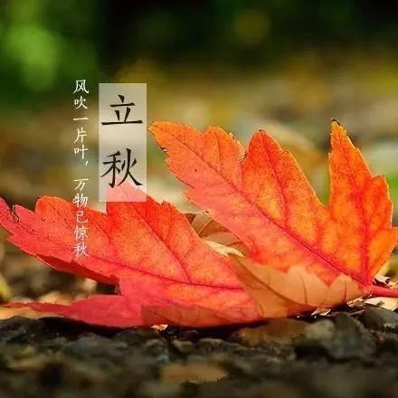 立秋的美图和祝语语句