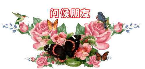 发给朋友早上好的问候短信