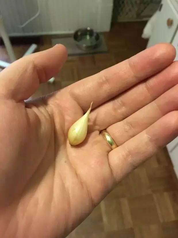 这些青菜水果真的很小,也太小了吧!