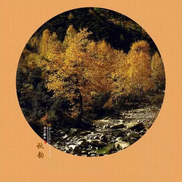 秋天的诗意暖心问候句子