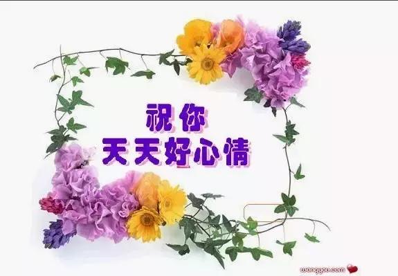 处暑图文祝福：今日处暑，祝福送上