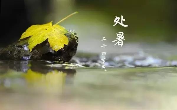 处暑图文祝福：今日处暑，祝福送上