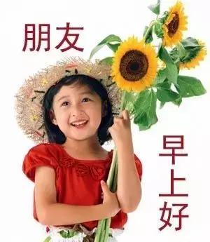 周末的早安语：周末快乐