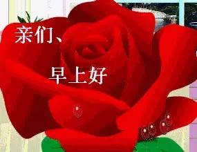 周末的早安语：周末快乐