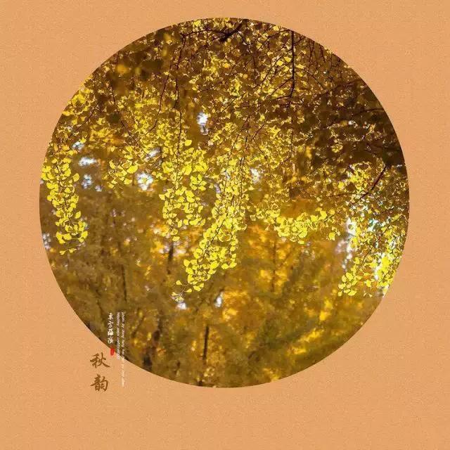 秋天的诗意暖心问候句子