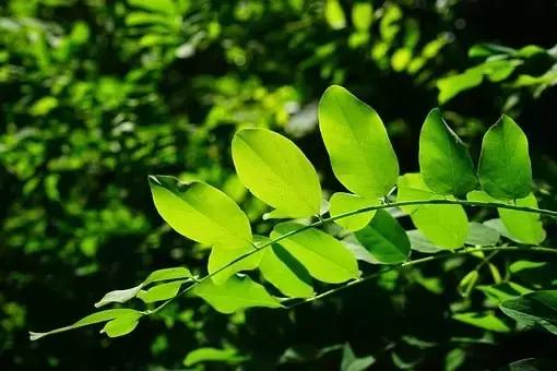 晚安美图160831：健康的活着，真诚的爱着