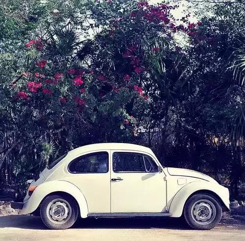 男人等于房，女人等于车