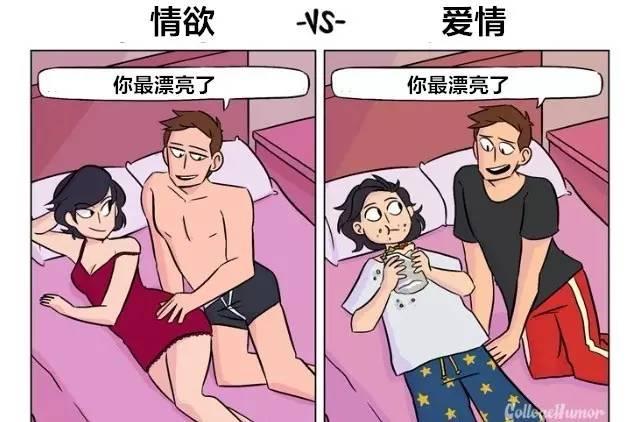 情欲和爱情有什么细节的差别？