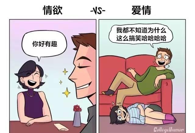 情欲和爱情有什么细节的差别？