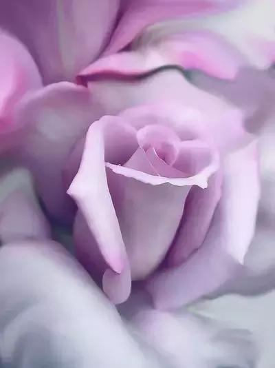 晚安美图160914：想念的时候，只想看上一眼
