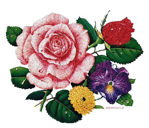 中秋节祝福动态图片gif美语