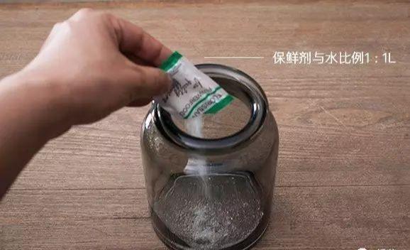 情人节送给女朋友什么礼物收到的玫瑰花，4个小技巧，不凋零不早落，爱情长