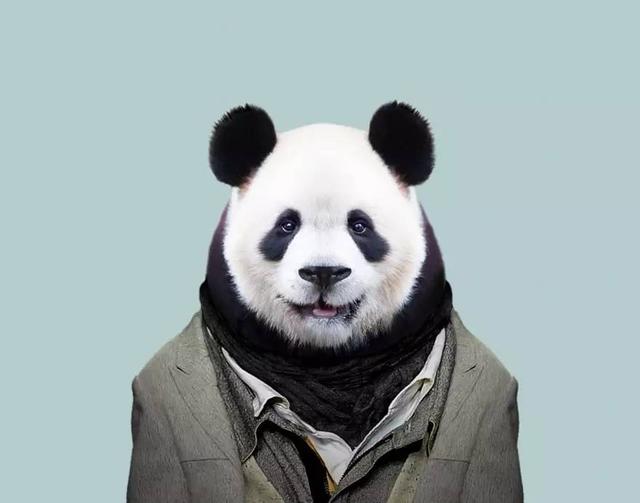 动物穿上衣服比很多人都要帅呢！