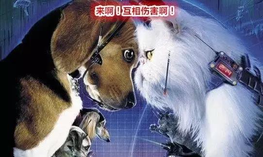楼市让生活生生的逼成笑话段子