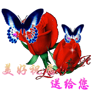9月9祝你快乐99幸福久久动态图片