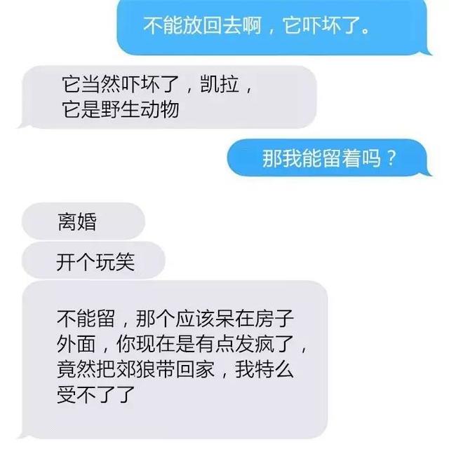 老婆把狼带回家，丈夫情绪很激动