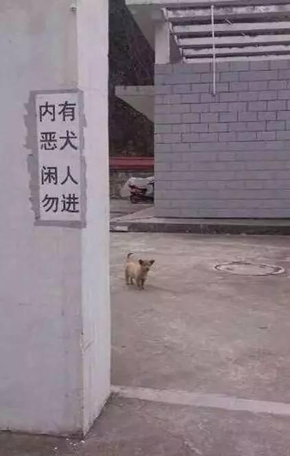 内有恶犬！这是不是在搞笑！