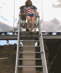 牛哥gif：秋天你们更需要多运动运动了！