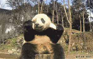 牛哥gif：秋天你们更需要多运动运动了！
