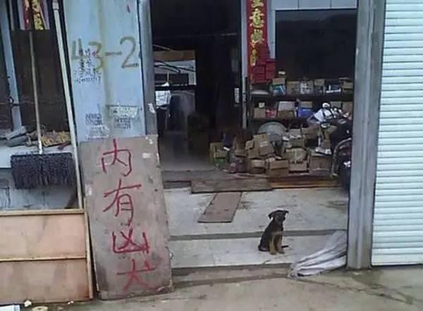 内有恶犬！这是不是在搞笑！