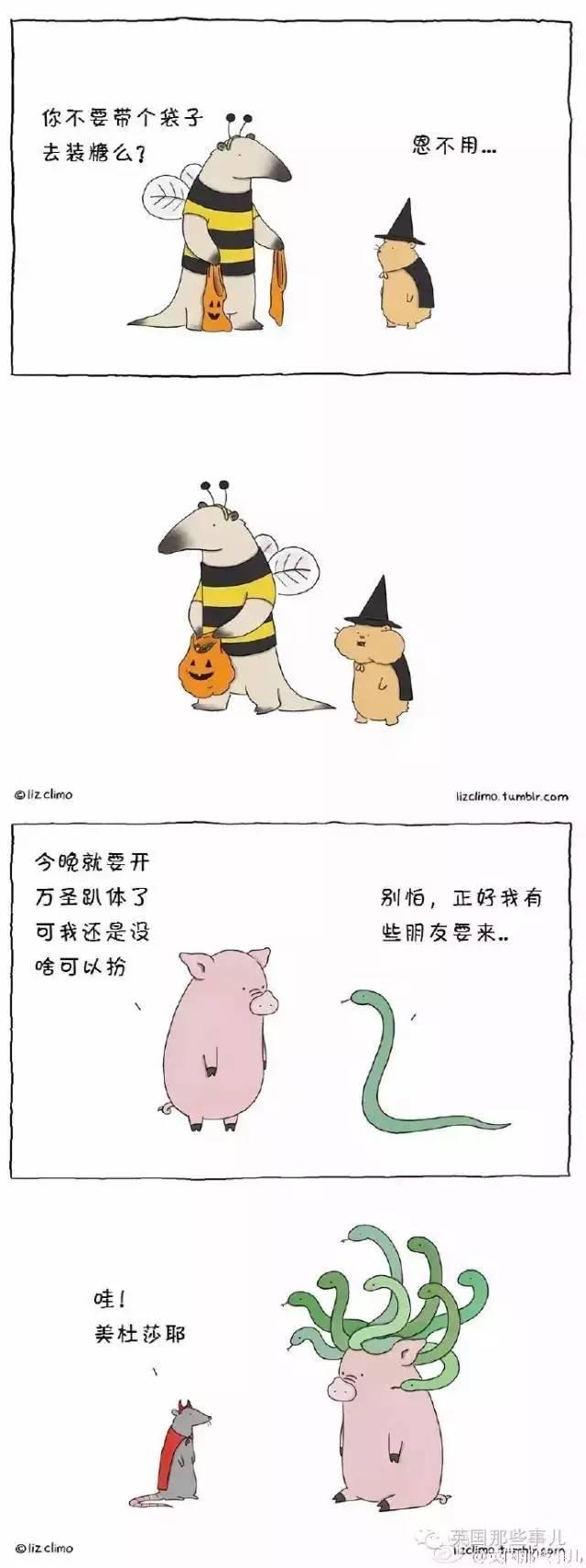 万圣节！动物们这样过万圣节