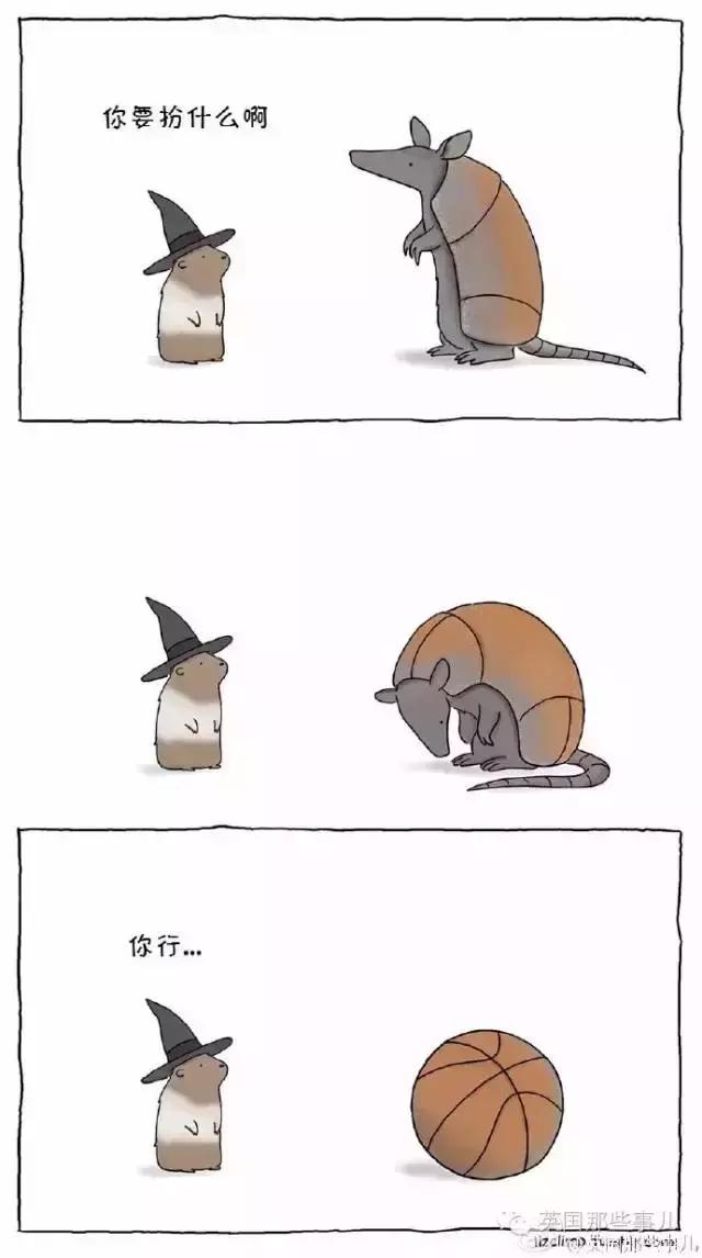 万圣节！动物们这样过万圣节