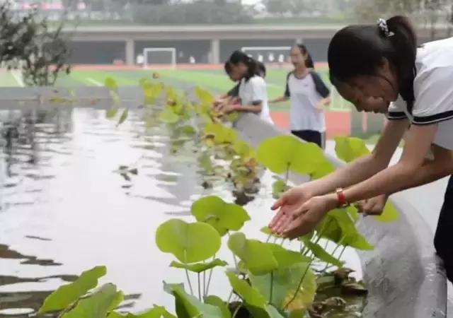 最美中学北京四中房山校区，颠覆了中国式审美