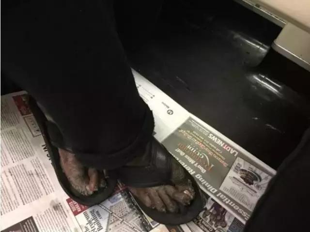 一些奇怪的乘客带着奇怪（吓人）的东西，好怕怕
