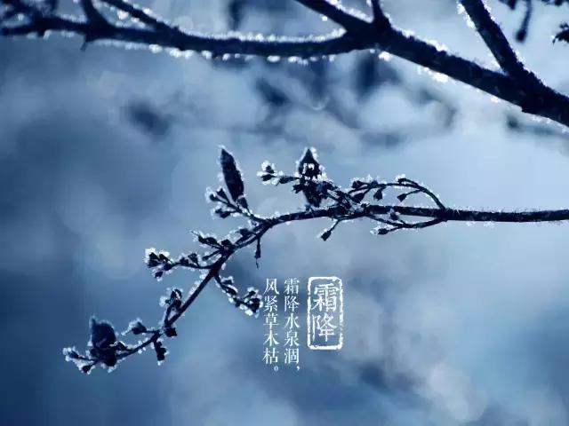 霜降的晚秋，送你暖暖的祝福