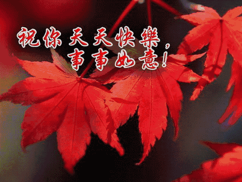 深秋祝福早晨好的好句子