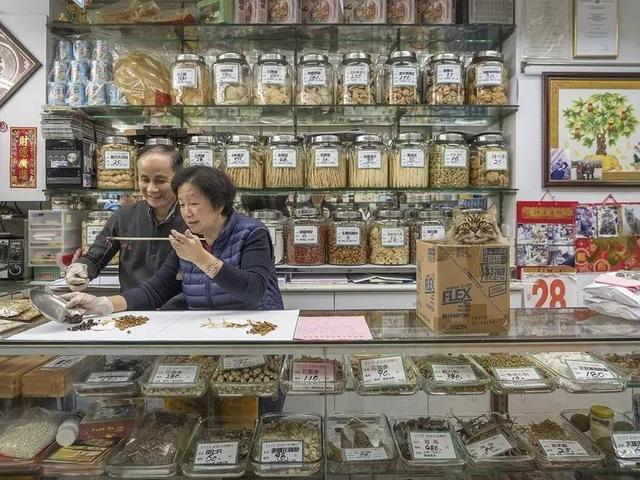 香港街头传统的小店里的那些小猫