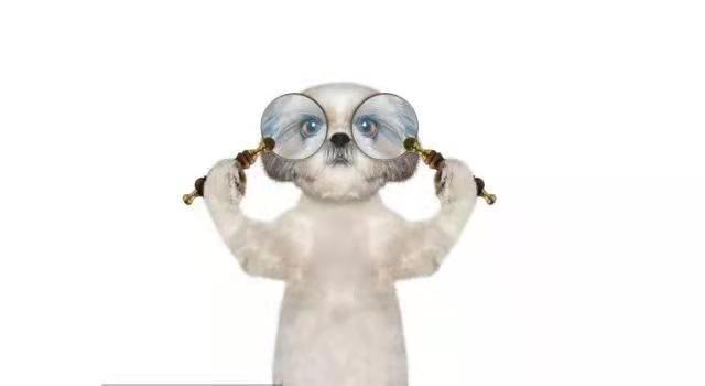 购买二手车的注意事项（如何挑选二手车小技巧）