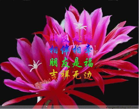 情人节送老公什么今天2.14日情人节，999玫瑰送给所有朋友，祝你们情人节快乐