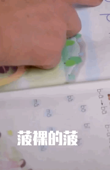 今天的拼音,公园的拼音