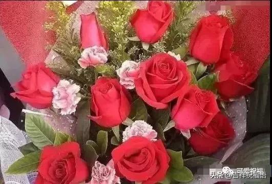 送给老婆情人节礼物明天情人节，99玫瑰送给群里朋友,祝你们情人节快乐,永远