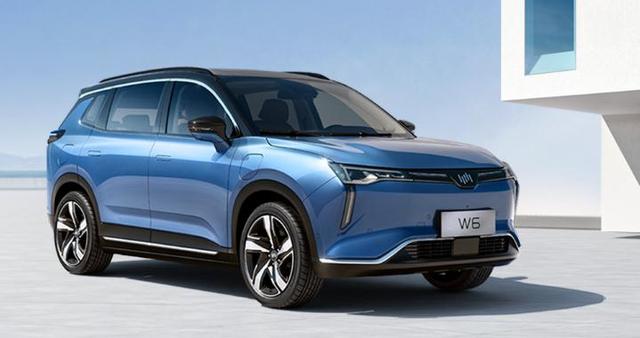 将自动泊车当作最大“卖点”，威马W6胜算几何？